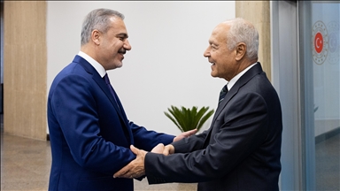 Turkish foreign minister discusses developments in Syria with Arab League chief