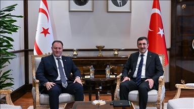 Türkiye's vice president discusses ties with Turkish Republic of Northern Cyprus parliament speaker