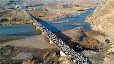 Iğdırlı göçerler, Kars, Ardahan ve Ağrı'nın yaylalarından zorlu yolculukla dönüyor