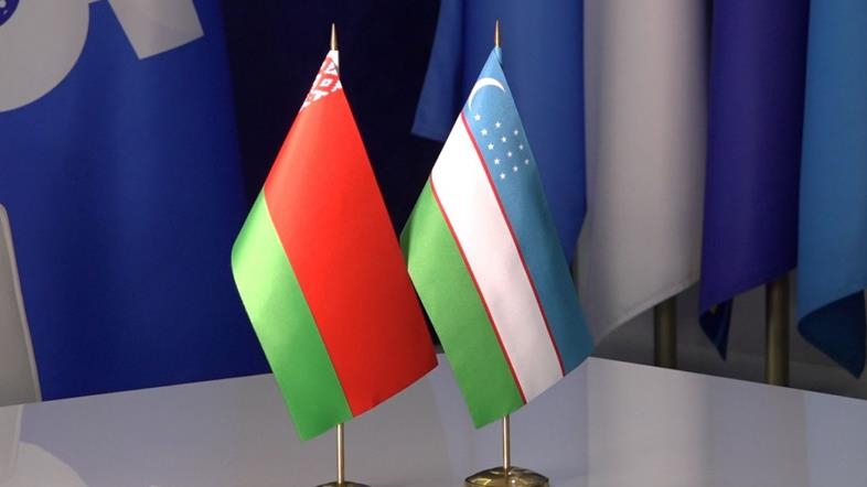 Минск и Ташкент обсудили взаимодействие в области тылового обеспечения ВС