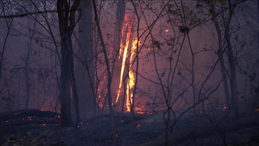 US brush fire destroys homes, forces evacuations as authorities investigate arson as a possible cause