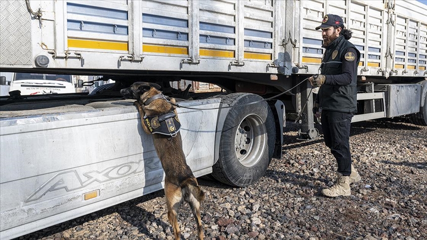 Narkotik dedektör köpeği "Şila", gizlenen pirinç tanesi kadar maddeyi dahi buluyor