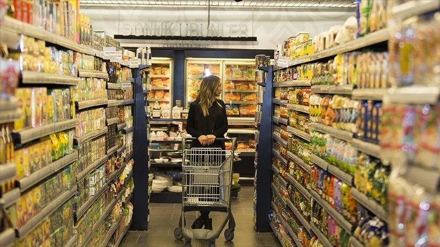Türkiye’s disinflation in line with soft landing goal: Experts