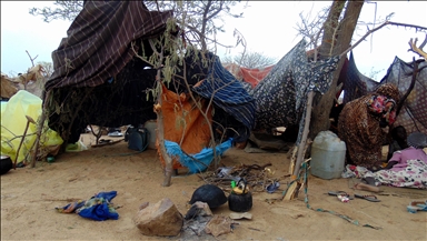 UN agency alarmed at surge of new arrivals in South Sudan from neighboring Sudan