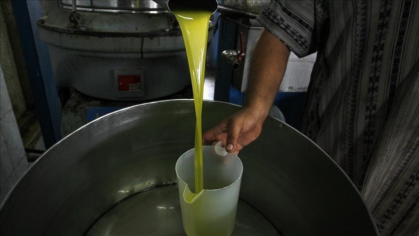 Tunisie : saison exceptionnelle pour la production d’huile d’olive