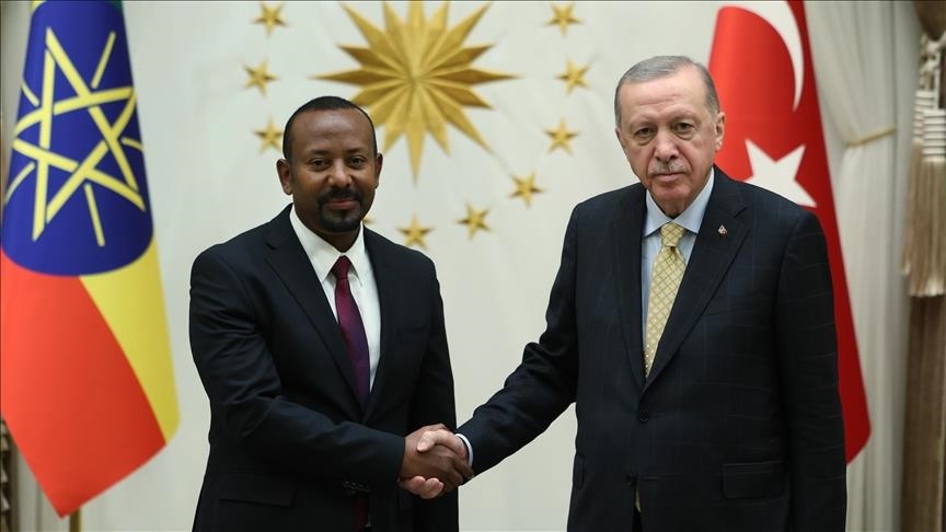 Turkish President Erdogan receives Ethiopian premier in Ankara