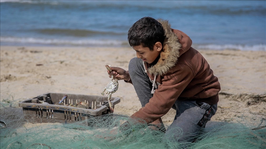 الثروة السمكية بغزة.. رزق عالق بشباك الإبادة الإسرائيلية (تقرير)