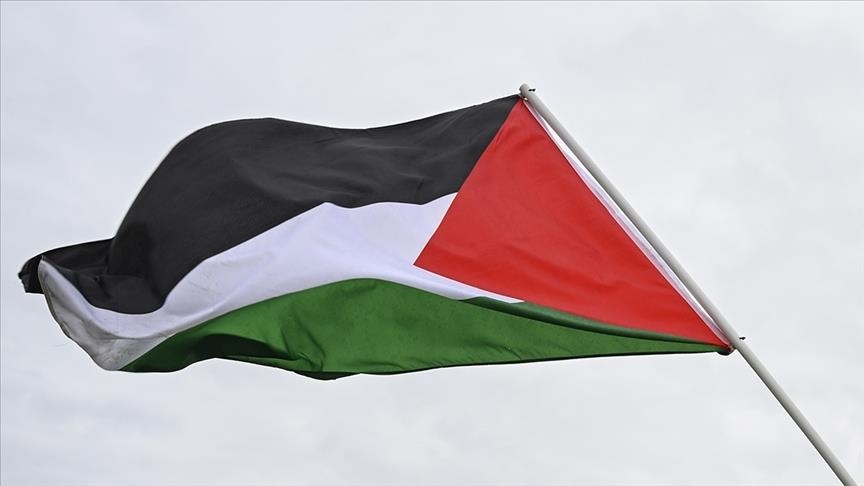 Egypt, Ireland agree on expanding international recognition of Palestine