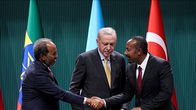 UAE welcomes Türkiye-mediated pact to end Somalia-Ethiopia conflict