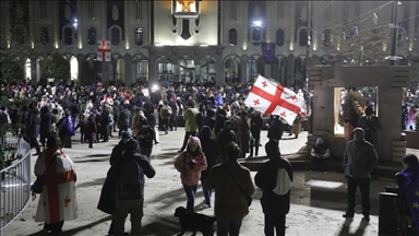 Gjeorgji, në protestat pro-evropiane merr pjesë edhe një delegacion i Parlamentit Evropian