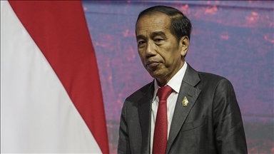 Indonesia's ex-president Widodo, son ousted by party