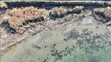 Sapanca Gölü'nde su seviyesi son yağışlara rağmen beklenen seviyeye ulaşmadı