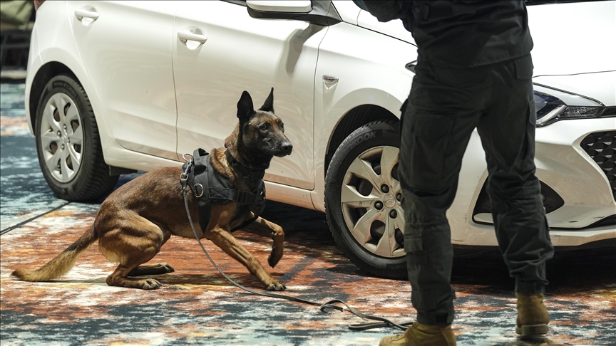 Bosna Hersek'te K9 köpekleri narkotik, silah ve patlayıcı tespiti alanlarında yarıştı 