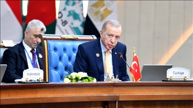 At D-8 summit in Cairo, Turkish president urges arms embargo, trade halt and isolation of Israel