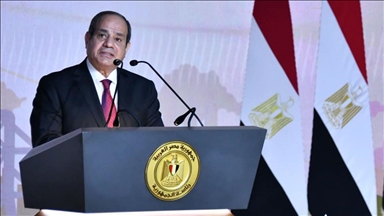 Middle East facing ‘unprecedented challenges,’ Egyptian president tells D-8 summit