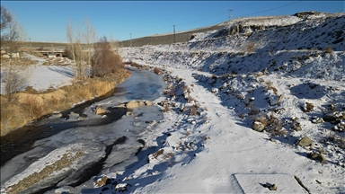 Ardahan ve Ağrı'da nehir ile dereleri buz, ağaçları kırağı kapladı