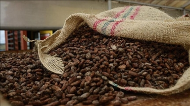 Cocoa hits record price of nearly $13K per ton