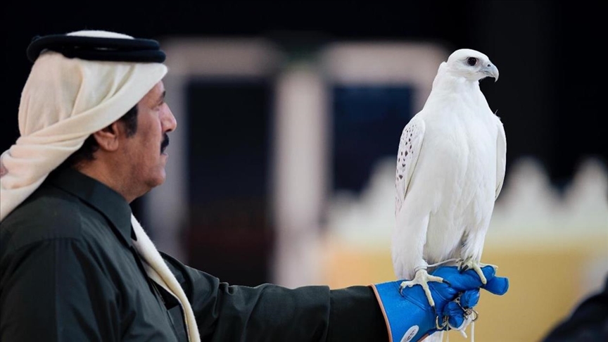 King Abdulaziz Falconry Festival concludes in Saudi Arabia