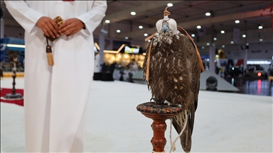 King Abdulaziz Falconry Festival concludes in Saudi Arabia