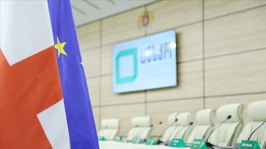 ЦИК Грузии ответил на обвинения президента