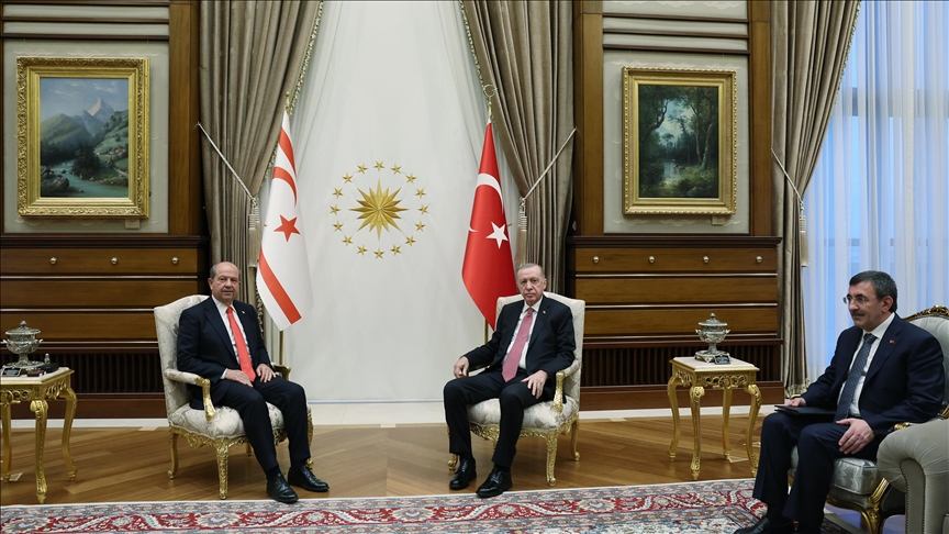 Turkish President Erdogan meets with Turkish Republic of Northern Cyprus counterpart