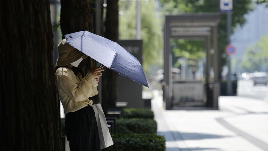 Japan's average temperature likely hit record high in 2024