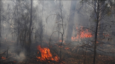 Residents in southern Australia flee threatening grassfire on Christmas Day