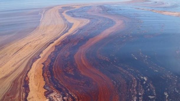 В некоторых прибрежных городах Черного моря России объявлено чрезвычайное положение