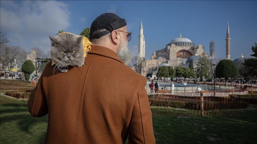 Maçoku shëtit të gjithë Istanbulin mbi supet e pronarit të tij