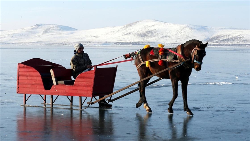 بزلاجات تجرها أحصنة.. سفاري على الجليد في بحيرة تشيلدر التركية