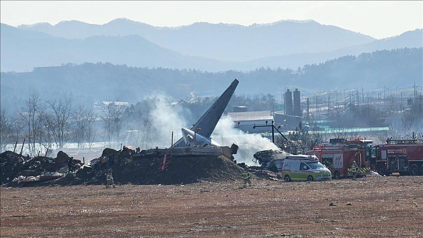 Potvrđen identitet 174 žrtve avionske nesreće u Južnoj Koreji
