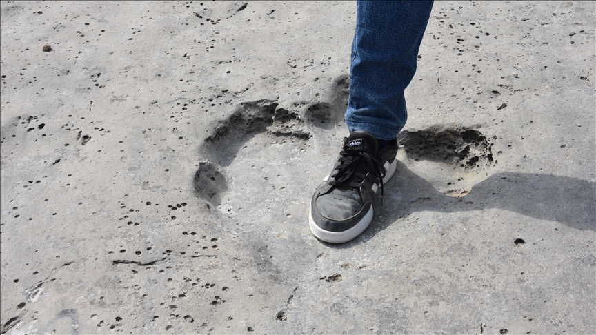 Britain's biggest ever dinosaur footprint site unearthed