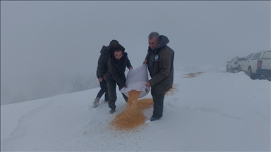 Muğla'da yaban hayvanları için doğaya yem bırakıldı