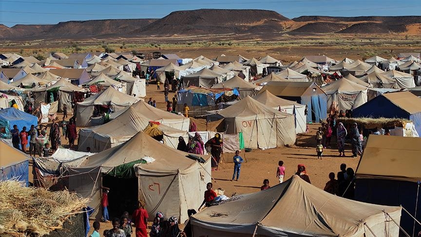 نازحو "قوز الحاج" بالسودان.. وعثاء الدرب للنجاة من الحرب (تقرير)