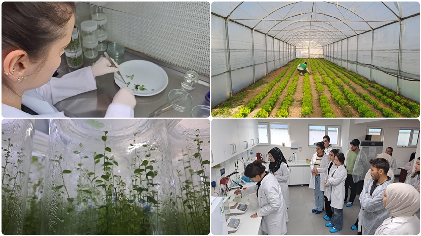 thumbs_b_c_8e64368fbb55a14d0a39820f85b0e9ea 🌾 Tarım ve Orman Bakanlığı Personel Alımı Geliyor! Bakan Yumaklı’dan Kritik Açıklama 📢