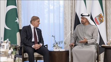 Pakistan, UAE agree to further enhance economic, political, cultural ties