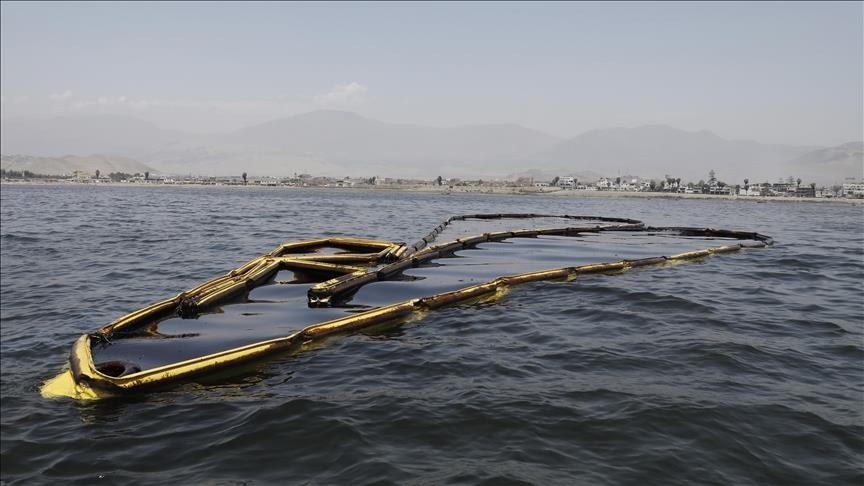 Oil spill kills dozens of dolphins on Russian Black Sea coast: Animal rescue group