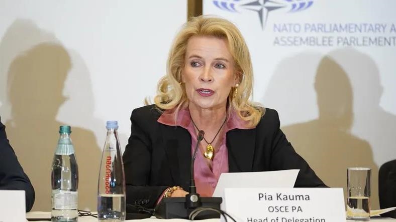 Глава ПА ОБСЕ отложила визит в Грузию