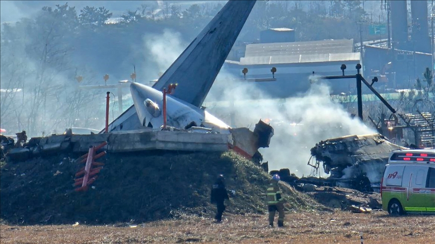 Bird collision came before South Korean runway crash: Investigators