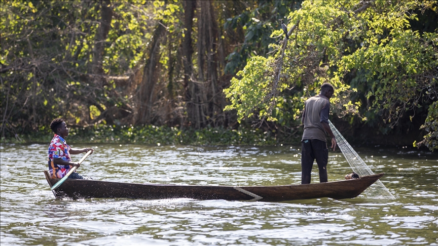 ‘We’re losing everything’: The battle for Lake Victoria’s survival in Tanzania