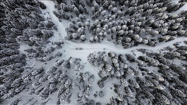 Anadolu'nun yüce dağı Ilgaz doğa tutkunlarını cezbediyor