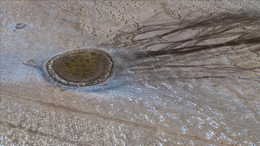 Четверть пресноводных животных находятся под угрозой исчезновения