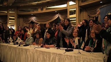 Women in Syria continue efforts to take an active role in new government