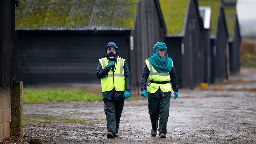 Cambodia reports 1st death caused by bird flu in new year