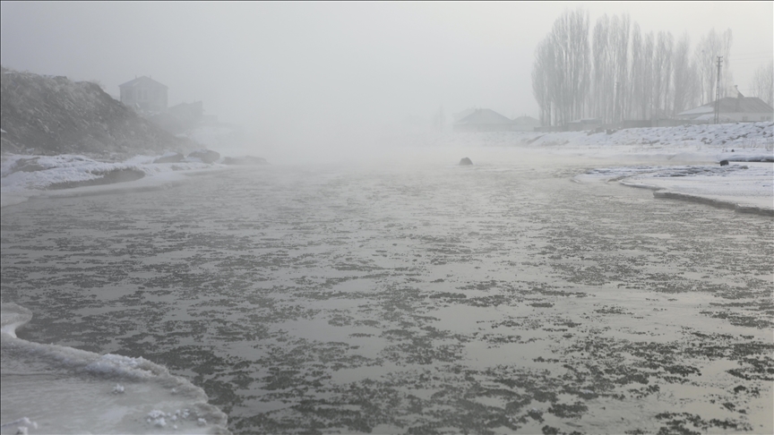 Ağrı, Kars ve Ardahan'da akarsular buzla, ağaçlar ve bitkiler kırağıyla kaplandı