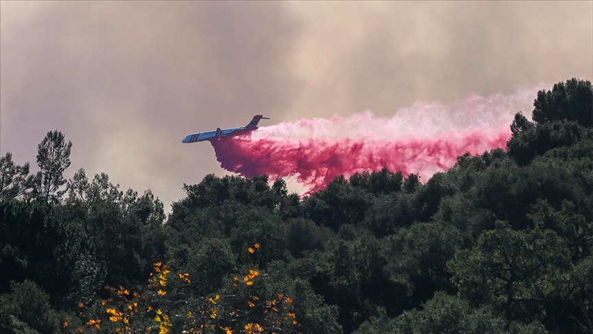 Pluhuri rozë kundër zjarrit i përdorur në zjarret në Los Angeles tërheq polemike për ndikimin ndaj kafshëve të egra