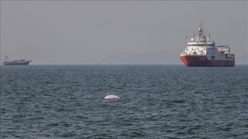 China's deployment of 'monster ship' is 'illegal': Philippines