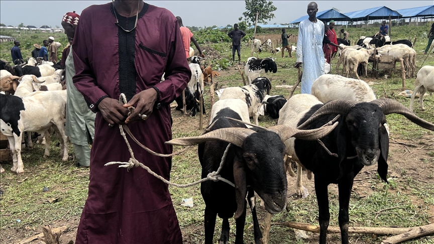 Nigeria’s Kaduna state secures peace pact with bandits to end decade-long violence