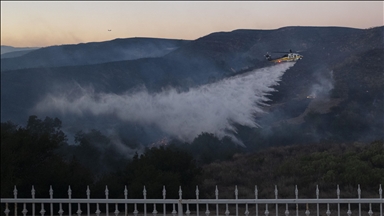 Pink fire retardant used in Los Angeles fires controversial for wildlife impact