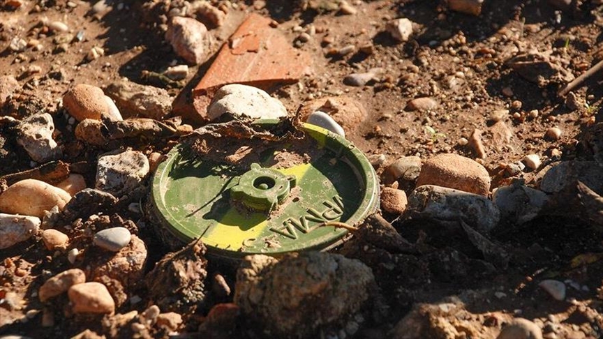 Вильнюс предложил странам региона Балтийского моря выйти из Оттавской конвенции